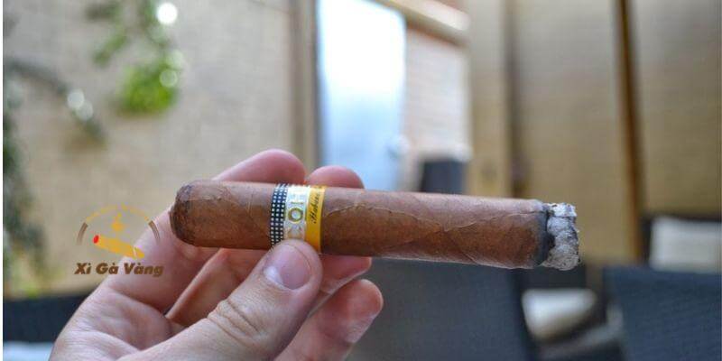 Hương vị và độ mạnh trong trải nghiệm hút xì gà